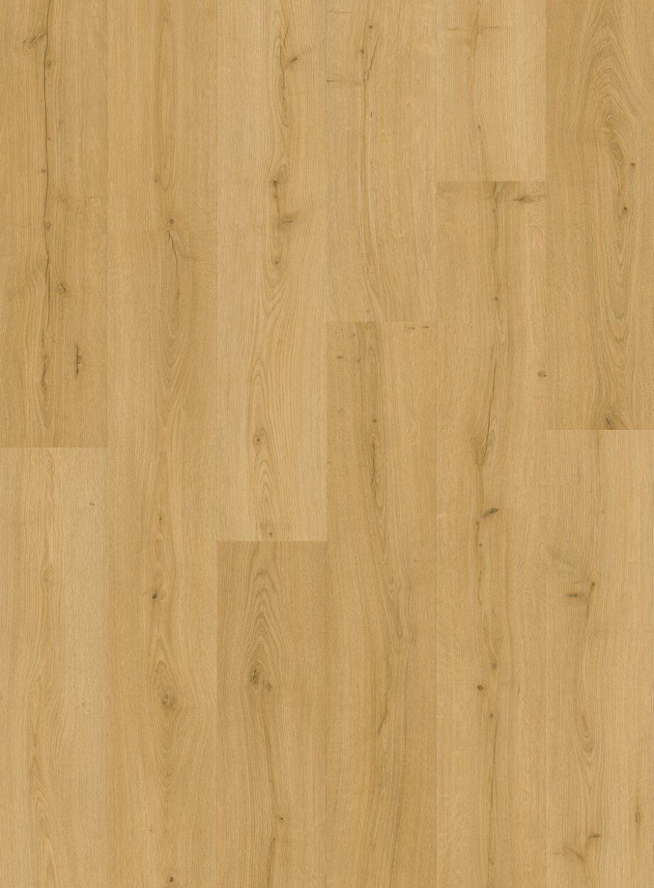 Klick Vinylboden Quick-Step Bloom Brushed Oak Honey Klick Vinylboden Quick-Step Bloom Brushed Oak Honey
