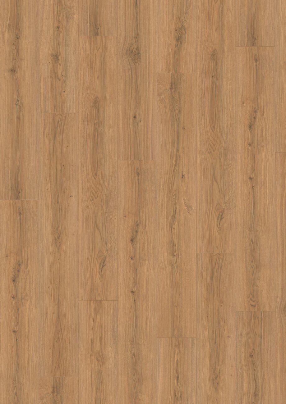 Laminat Egger Padua Eiche honig, Aqua, 8 mm