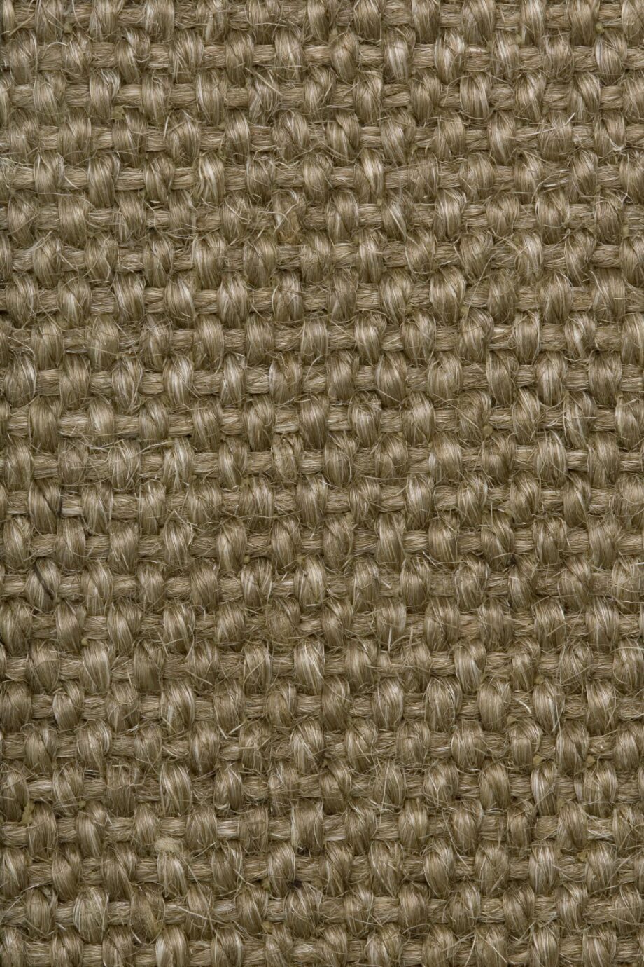 Sisal-Teppichboden Tasibel Allegro 2804/20 Sisal-Teppichboden Tasibel Allegro 2804/20