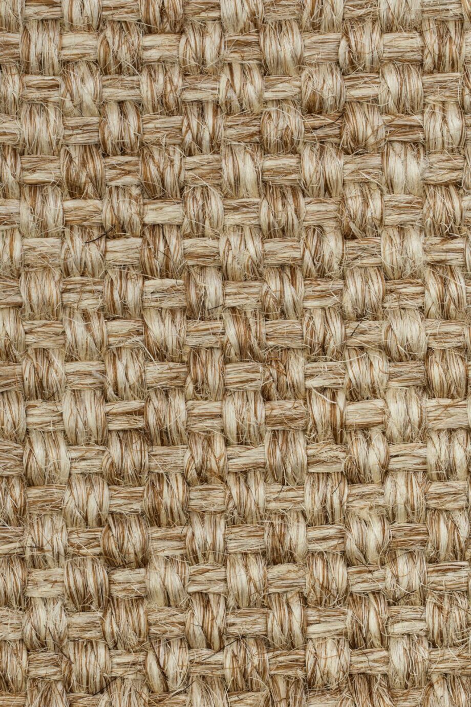 Sisal-Teppichboden Tasibel Colora 2851/20