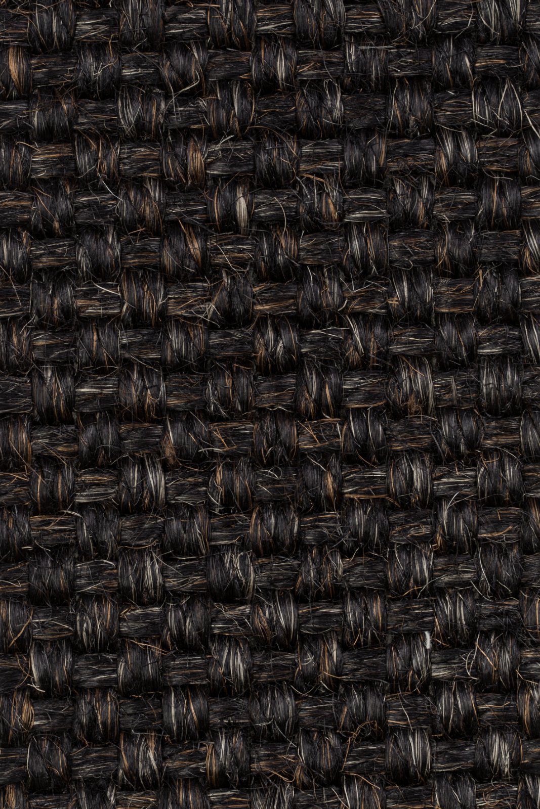 Sisal-Teppichboden Tasibel Colora 2855/20