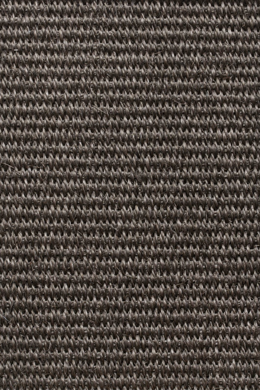 Sisal-Teppichboden Tasibel Urban Plus 2215/21