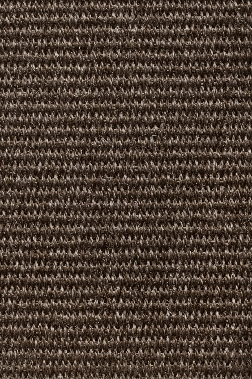 Sisal-Teppichboden Tasibel Urban Plus 2216/21