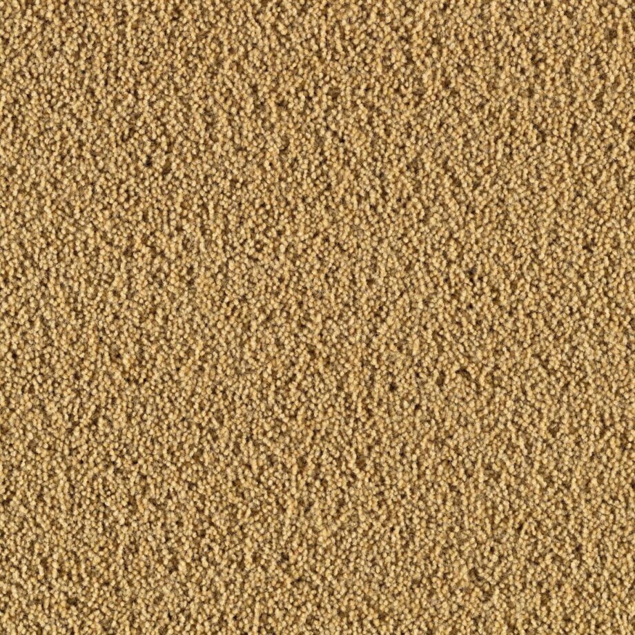 Wollteppichboden Creatuft Ceres 3090 Gold