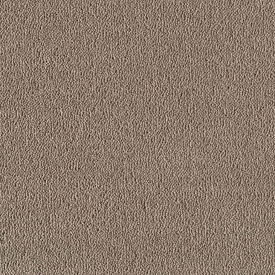 Wollteppichboden Creatuft Sheba 1030 Greige