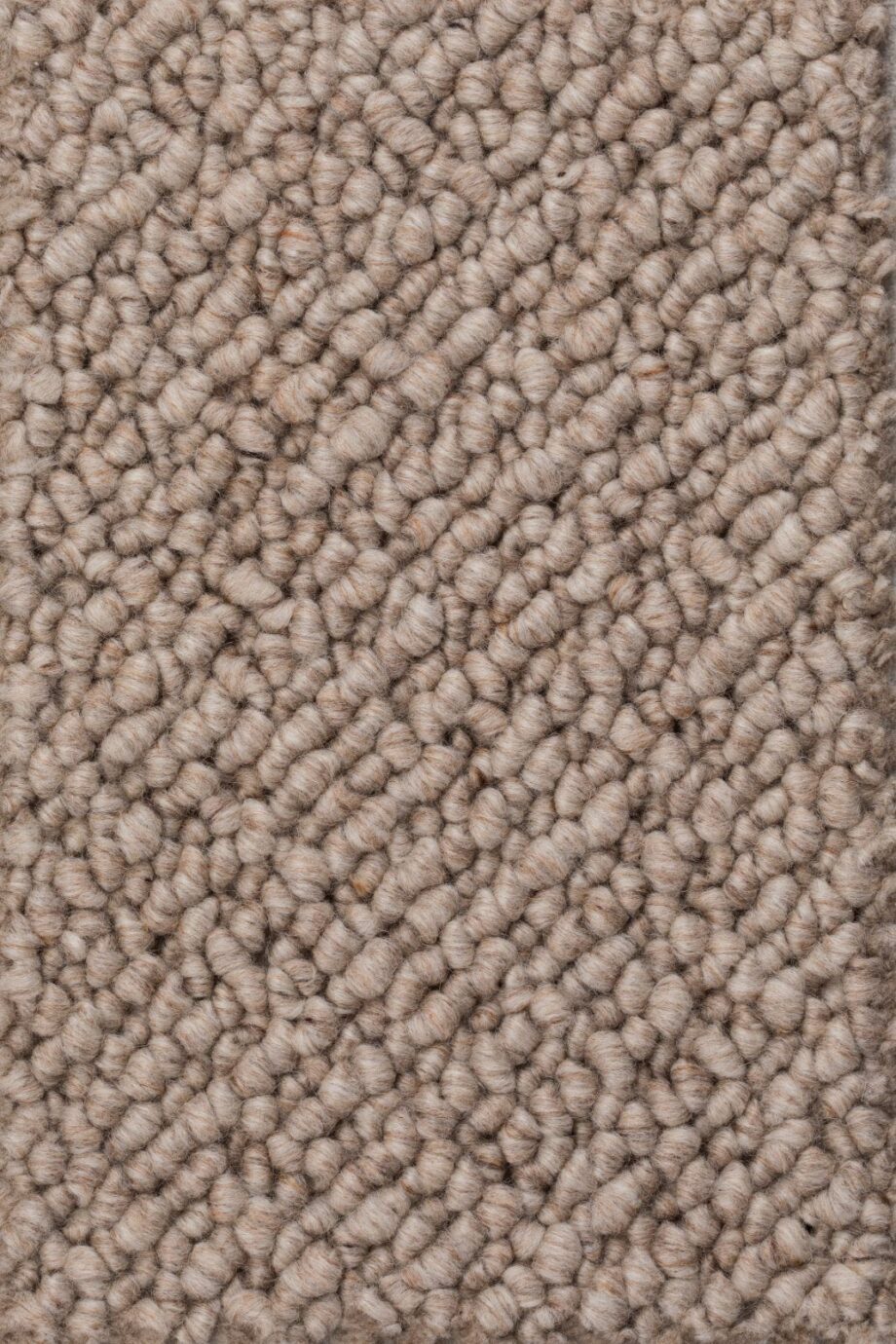 Wollteppichboden Creatuft Titan 35 Beige Wollteppichboden Creatuft Titan 35 Beige