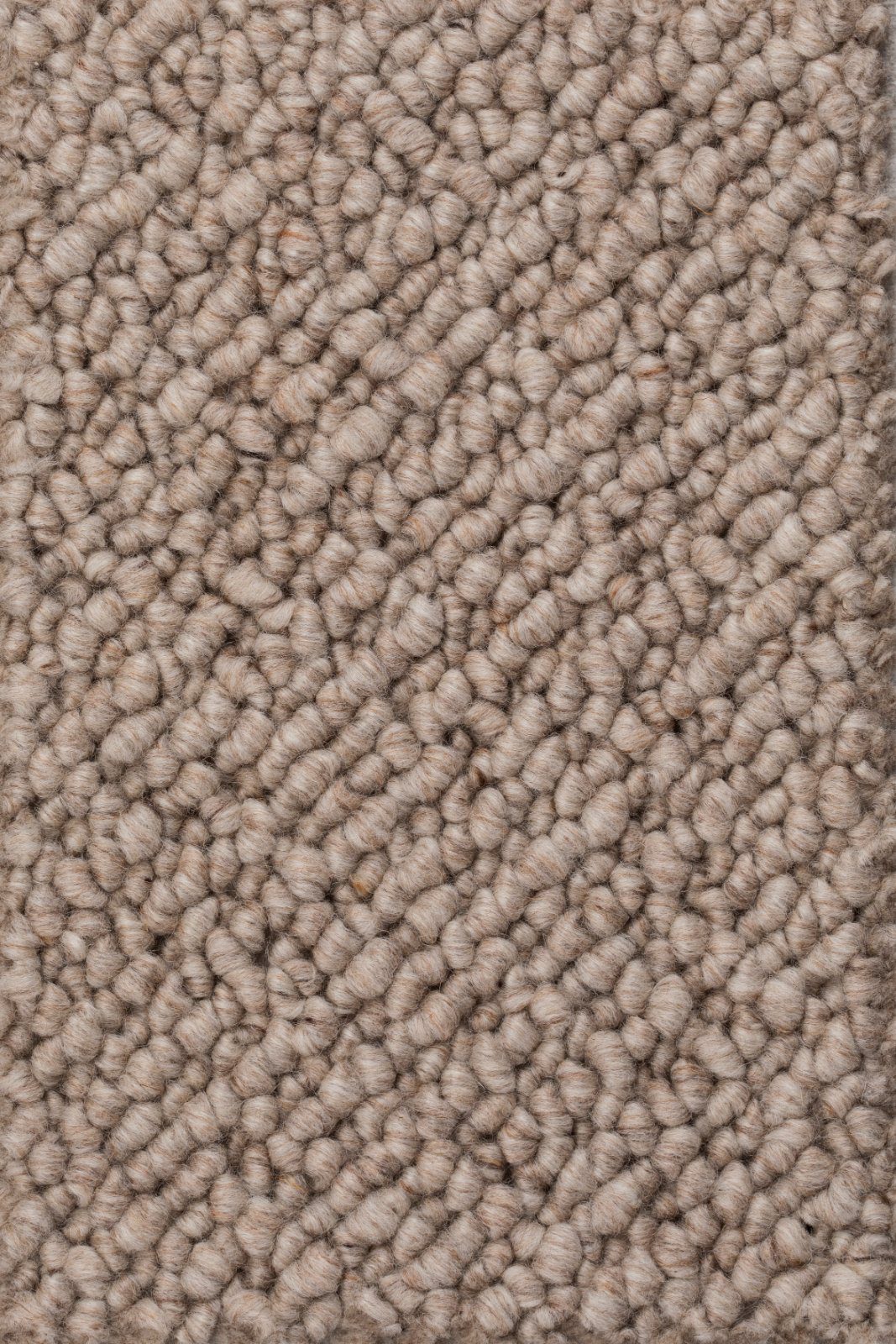 Wollteppichboden Creatuft Titan 35 Beige