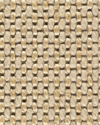 Wolle-Sisal-Teppichboden Tasibel Moko 8327/22