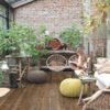 4855_10677_spc-quick-step-sundown-pine-alpha-planks 4855_10677_spc-quick-step-sundown-pine-alpha-planks