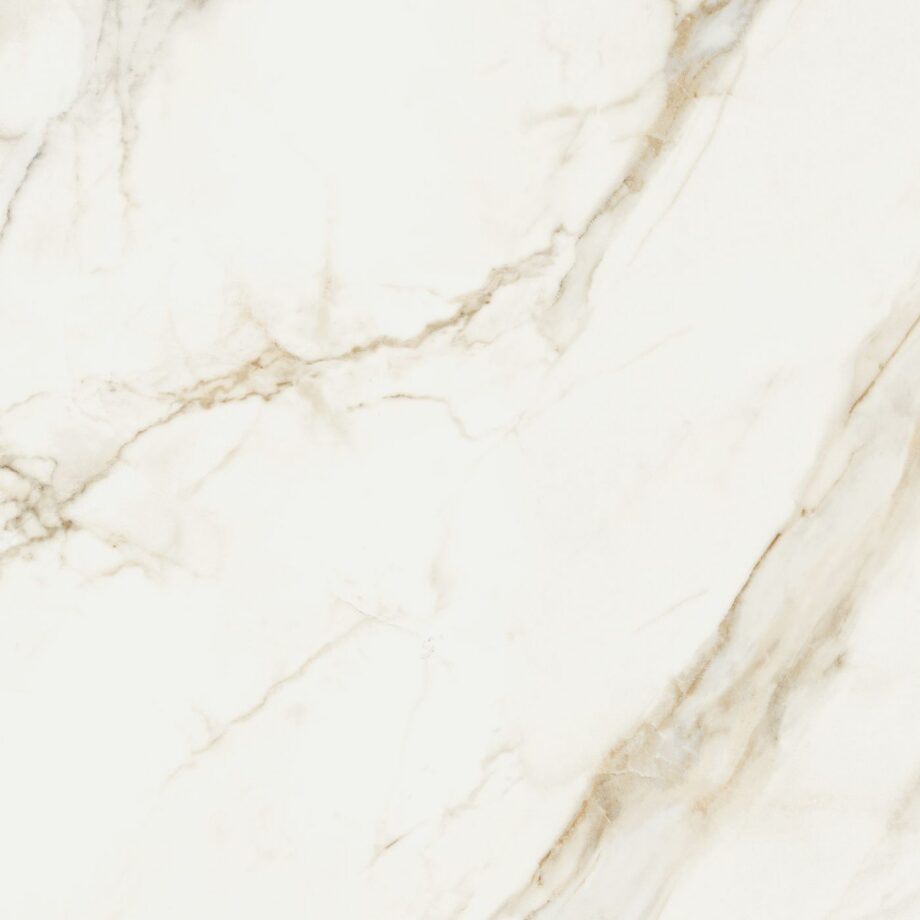Feinsteinzeug in Marmoroptik ABK Sensi Up Calacatta Gold, 80x80 cm, 8,5 mm, poliert (lux)