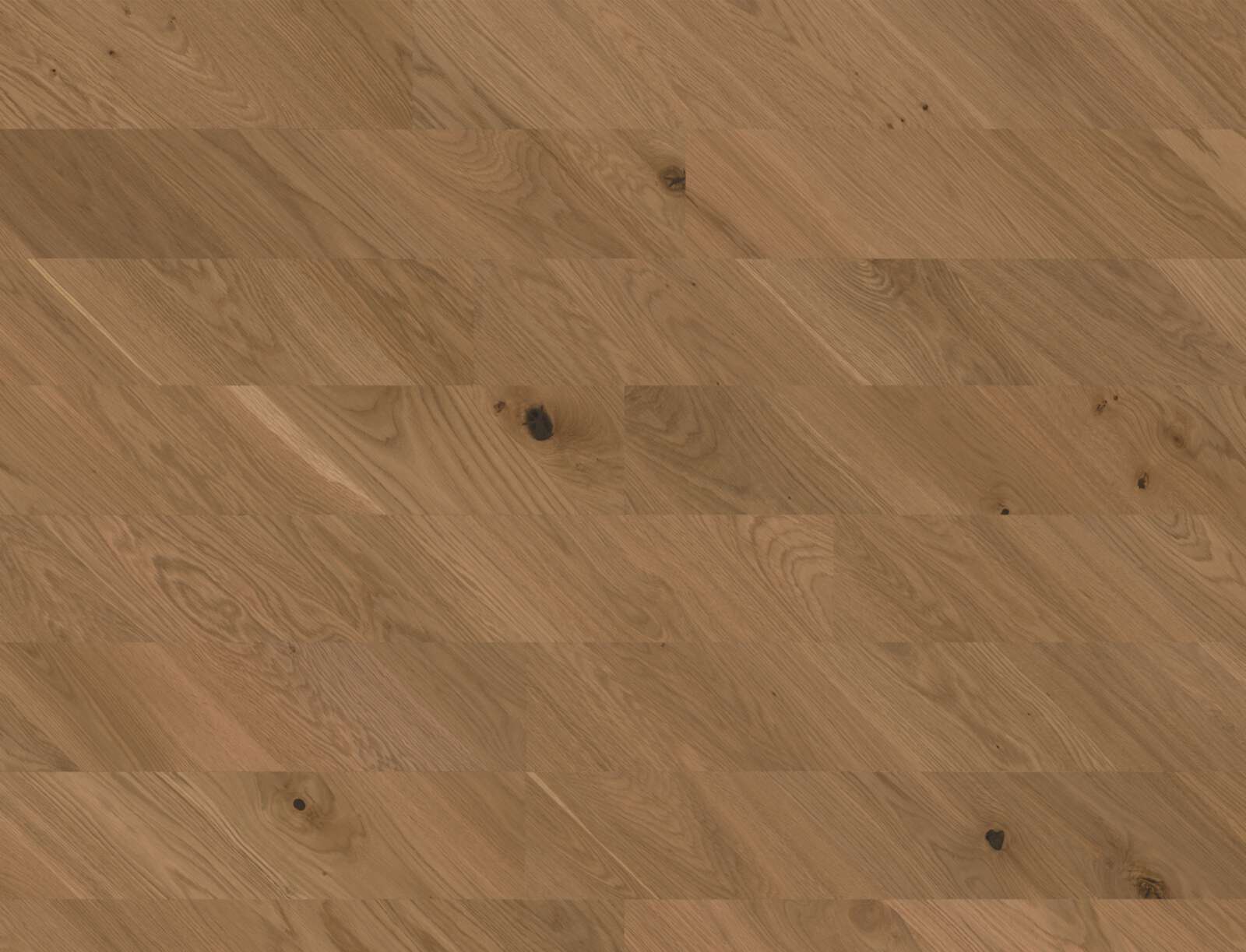 Chevron Parkett Bauwerk Spinpark Eiche Caramello 15 geölt geschliffen