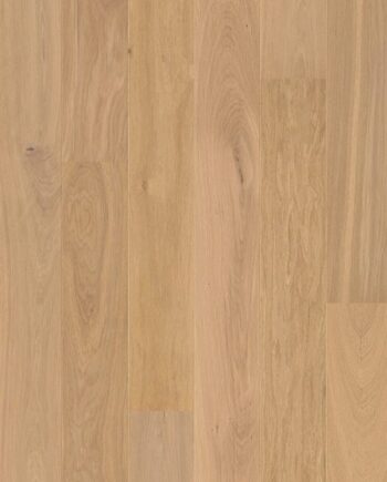 Eiche Parkett pure extra matt