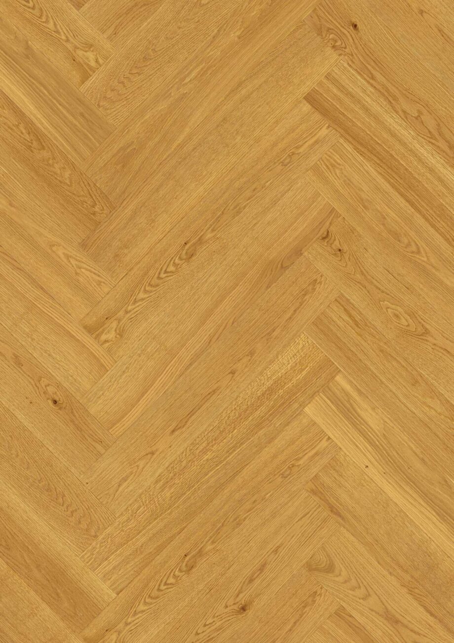 Fischgrätparkett Bauwerk Vectorpark Eiche Natur 14 geölt gebürstet