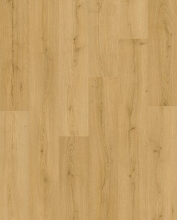 Klick Vinylboden Quick-Step Bloom Brushed Oak Honey