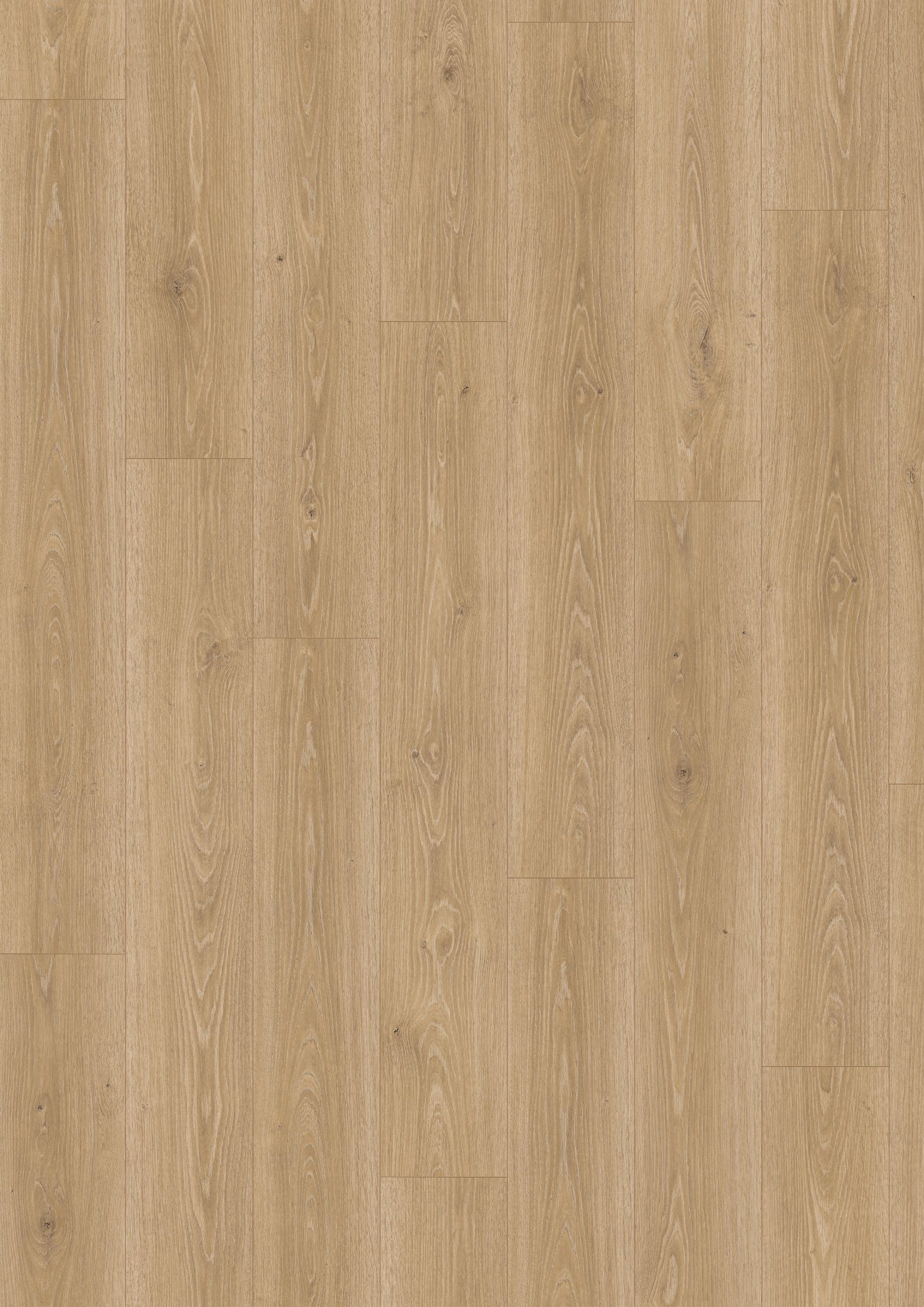 Laminat Egger Treviso Eiche natur, Aqua, 8 mm