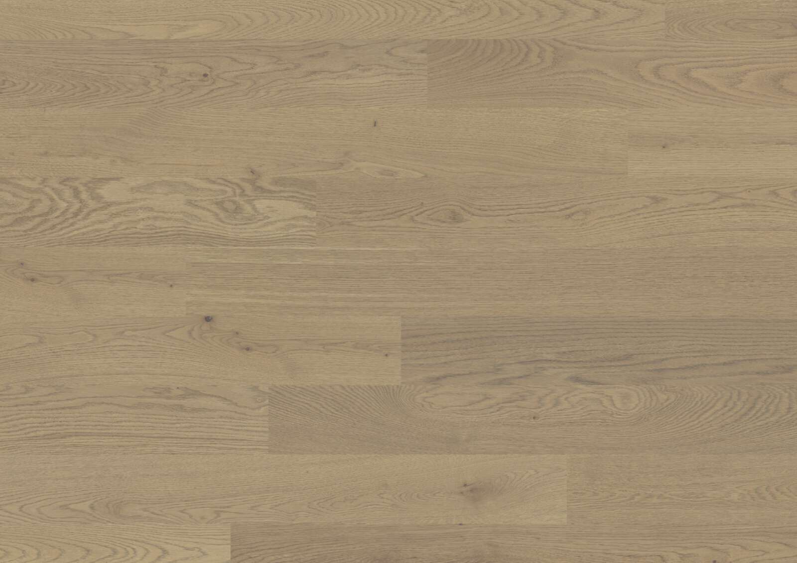 Parkettboden Bauwerk Trendpark 1390 Eiche Sasso 24 geölt gebürstet
