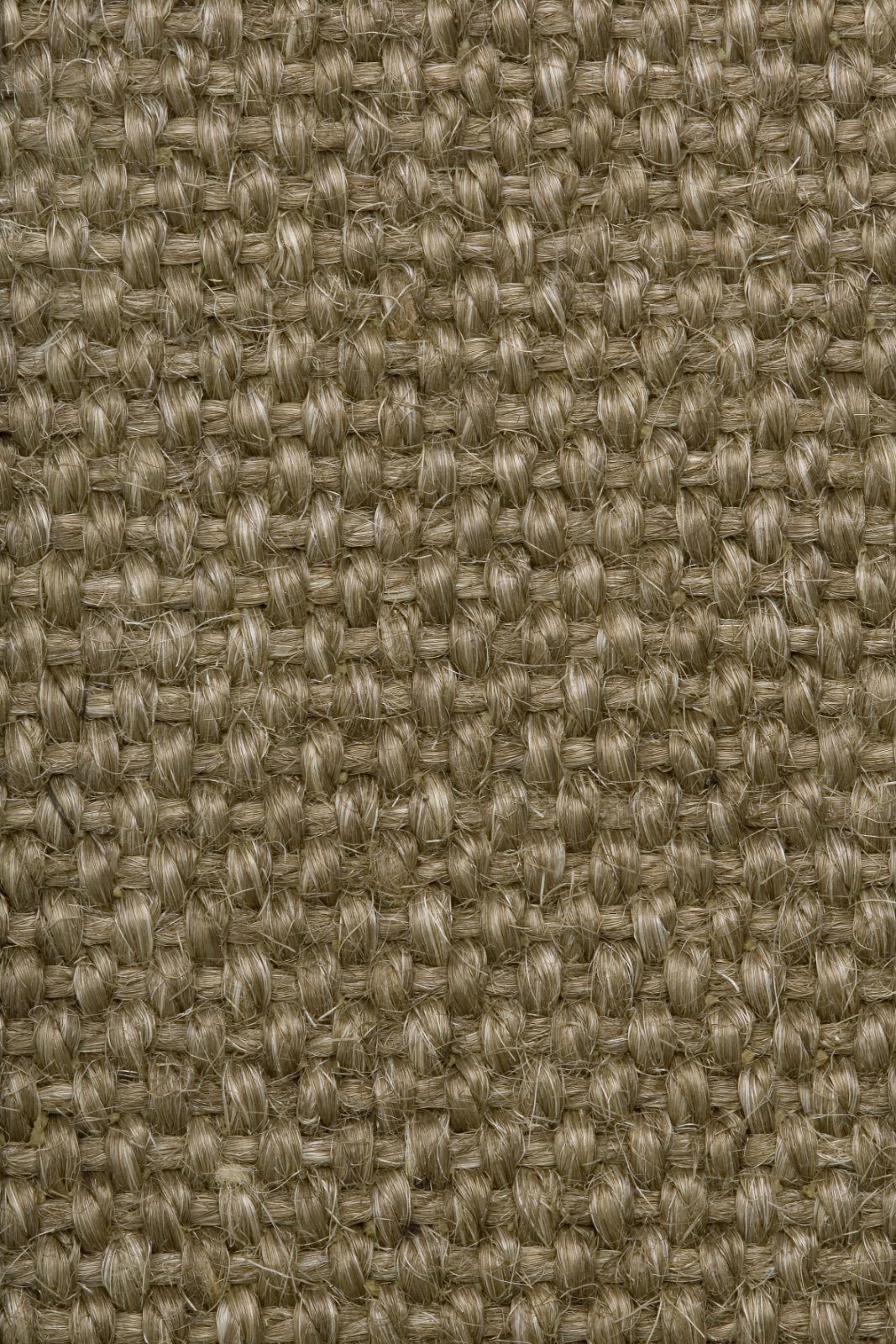 Sisal-Teppichboden Tasibel Allegro 2804/20