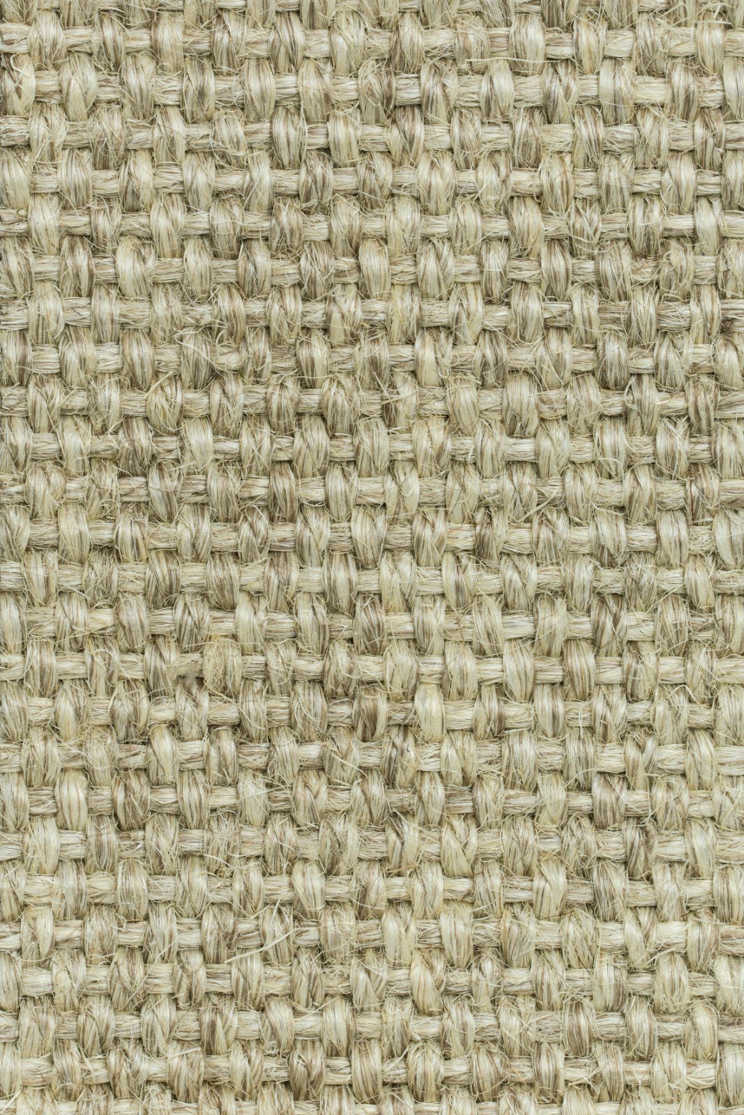 Sisal-Teppichboden Tasibel Allegro 2813/20