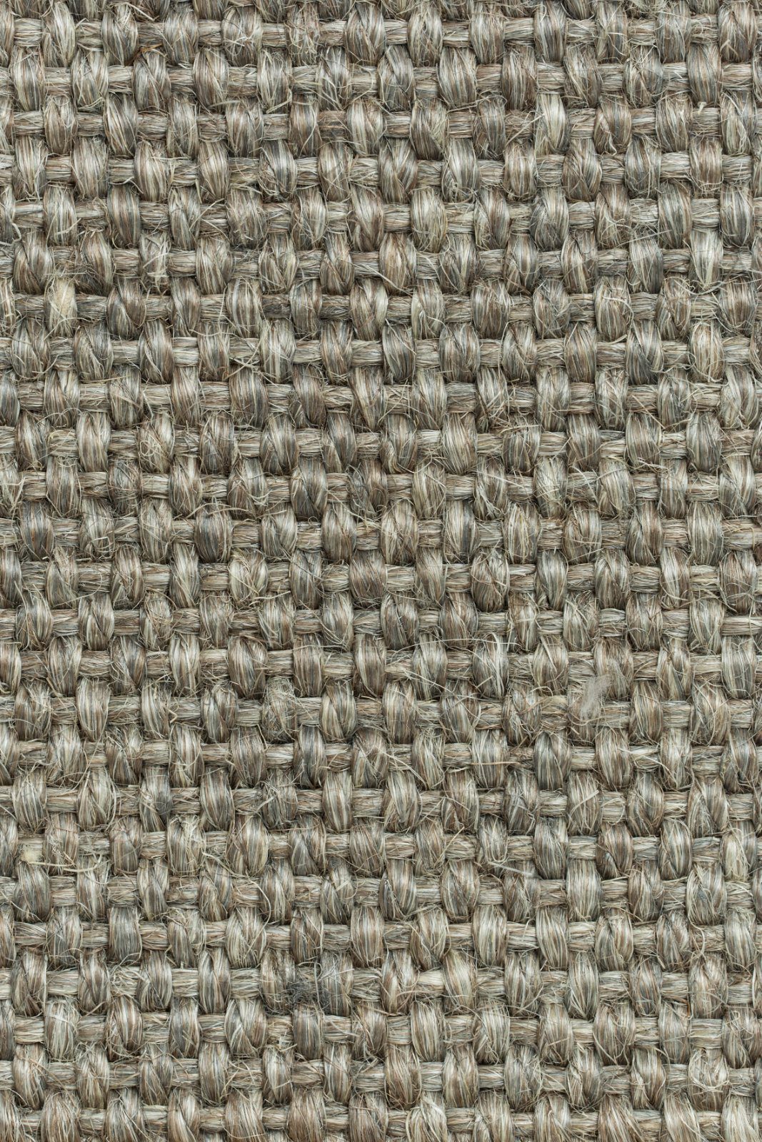 Sisal-Teppichboden Tasibel Allegro 2814/20