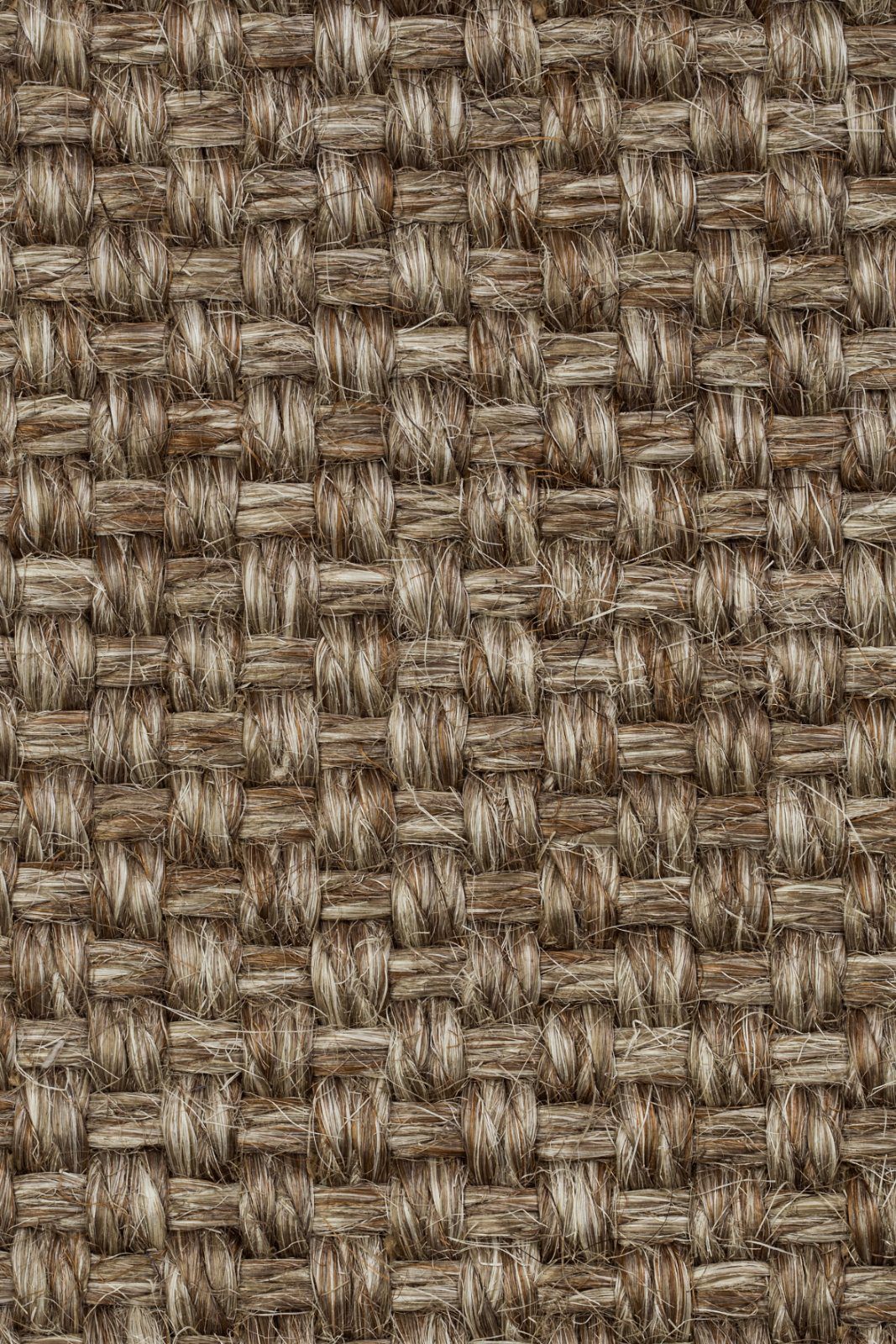 Sisal-Teppichboden Tasibel Colora 2852/20