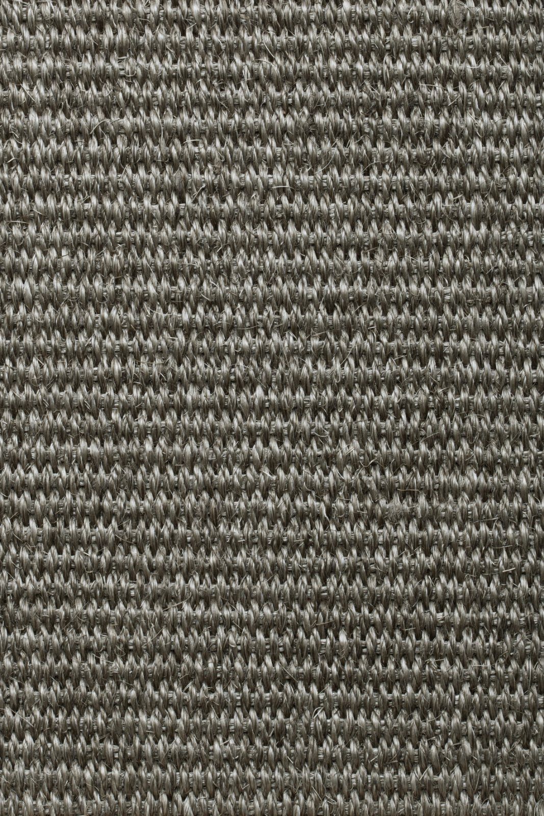 Sisal-Teppichboden Tasibel Urban Plus 2214/21