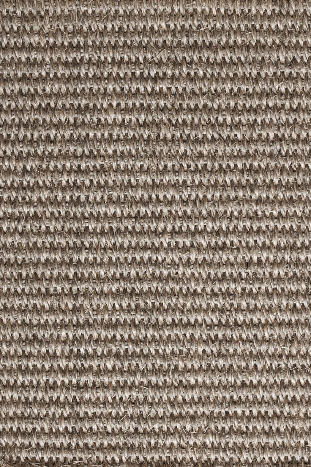 Sisal-Teppichboden Tasibel Urban Plus 2218/21